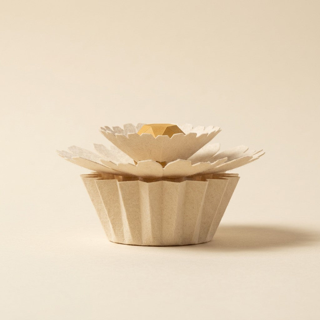Ewige Papierblume Daisy in Creme in ihrem farblich passenden plissierten Papierschälchen, Seitenansicht