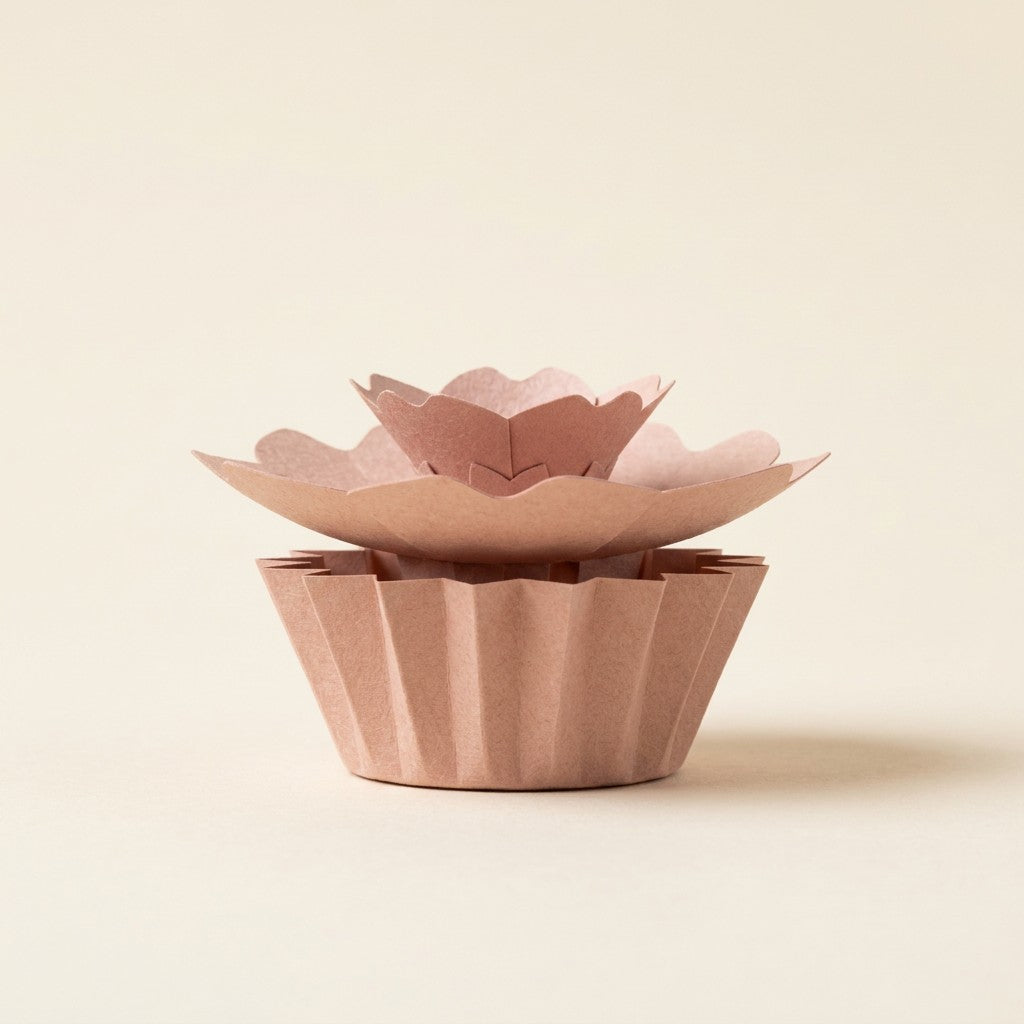 Ewige Papierblume Sakura in Zartrosa in ihrem farblich passenden plissierten Papierschälchen, Seitenansicht