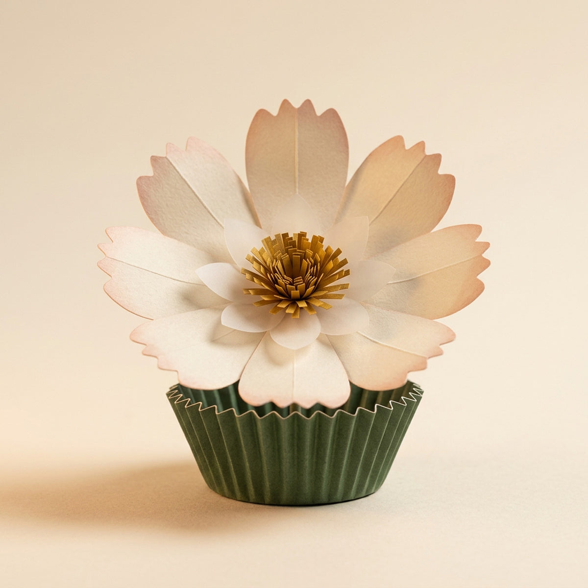 Daisy paper flower in cream with a moss cup on its pleated paper cup, packshot on cream