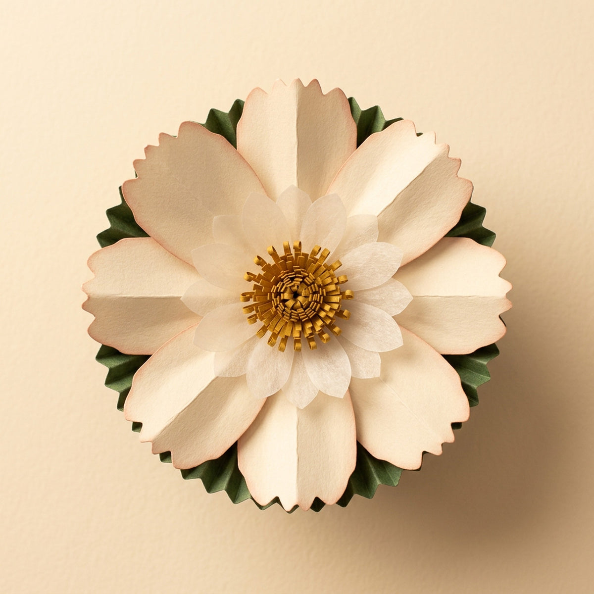 [CONCEPT PLACEHOLDER] Cosmos (Daisy) paper flower in cream with a moss cup on its pleated paper cup, top-down view (AI concept image, not the final product)