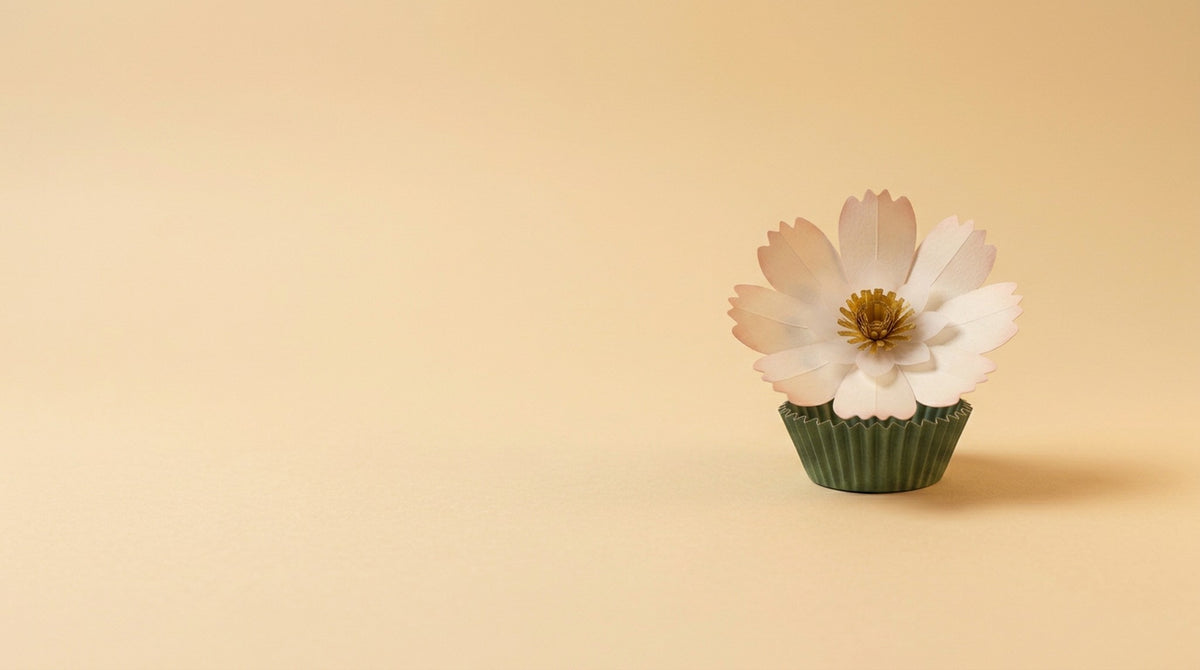 [CONCEPT PLACEHOLDER] Cosmos (Daisy) paper flower in cream with a moss cup on its pleated paper cup, colour moment on a tonal paper background (AI concept image, not the final product)